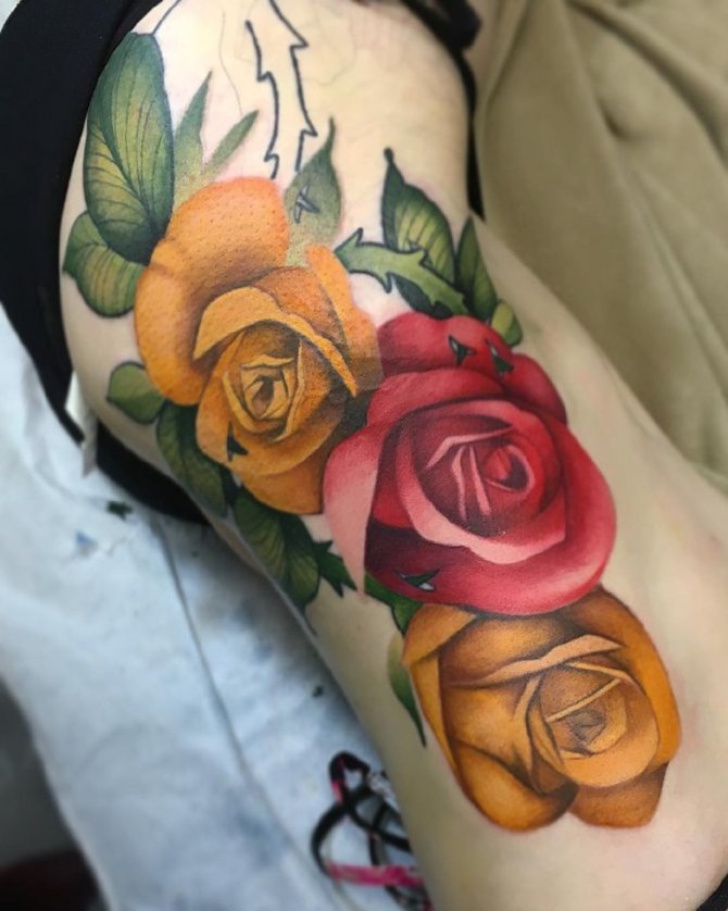 3 roses