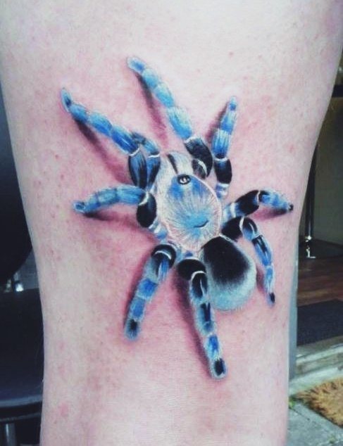 Araignée en 3D rampant vers le haut. Attire l'attention sur la couleur inhabituelle du tatouage.