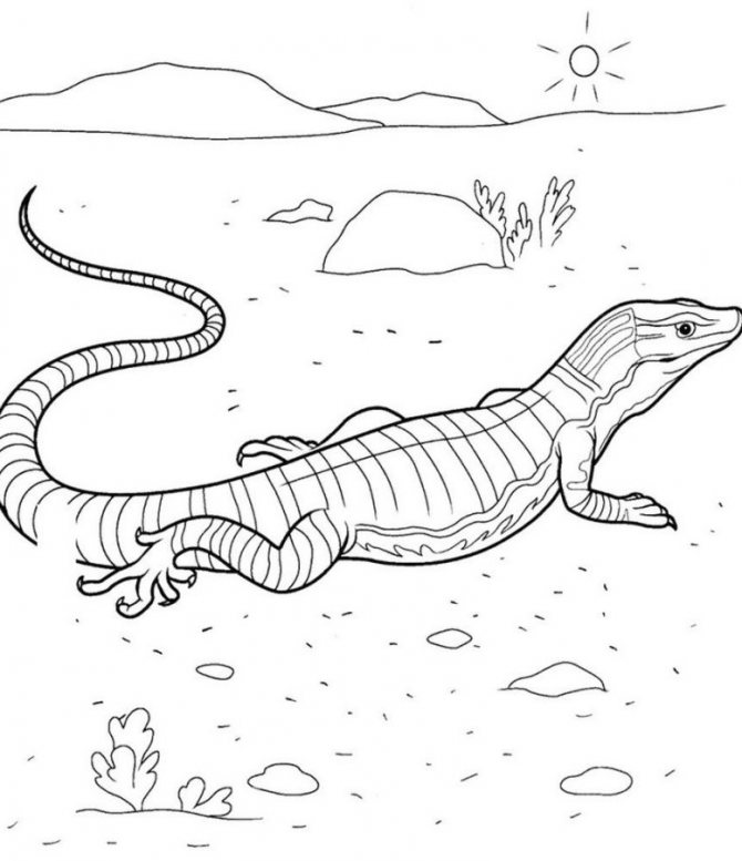 Et ce croquis d'un bélier pour un tatouage sur une grande surface corporelle
