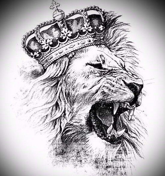 Voici un bon motif pour un tatouage de lion rugissant.