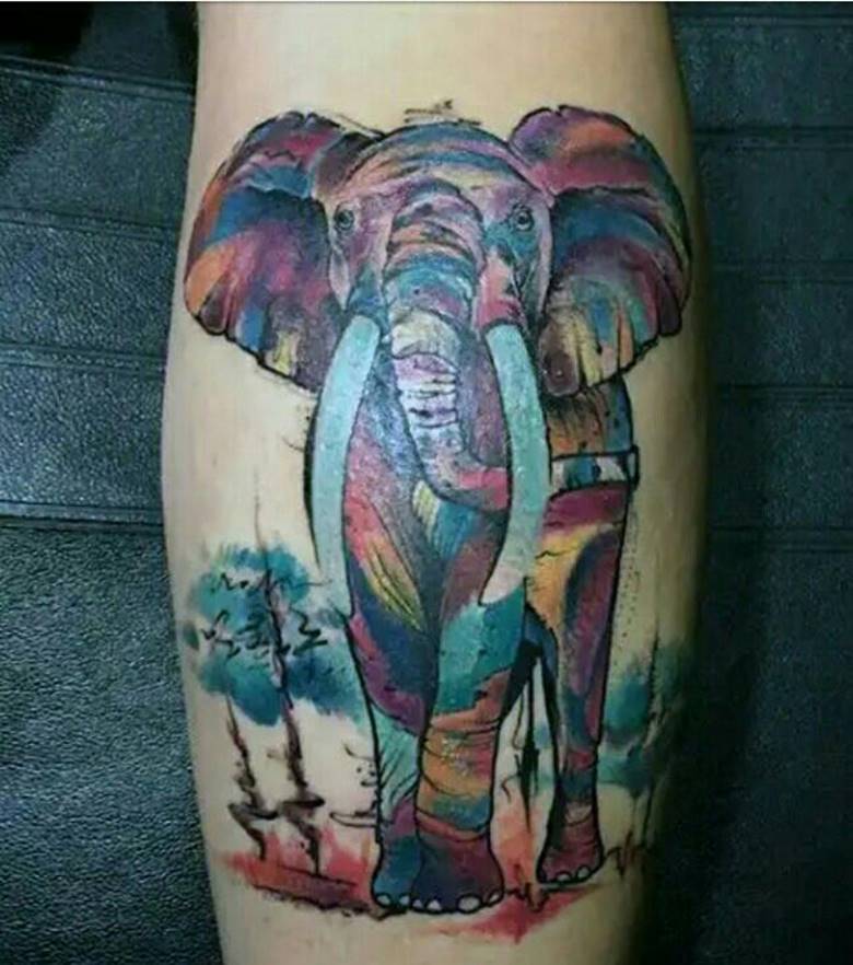 Aquarelle éléphant