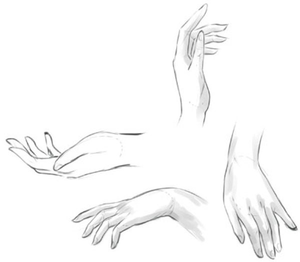 Anatomie des mains à dessiner étape par étape dessin des mains. Construction complète