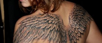 Ailes d'ange