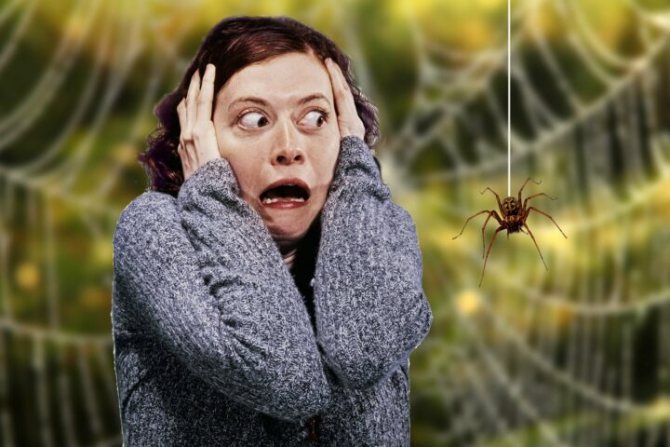 Arachnophobie