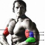 Arnold