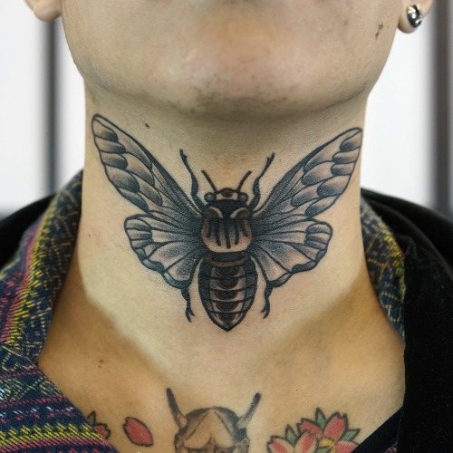 Papillon