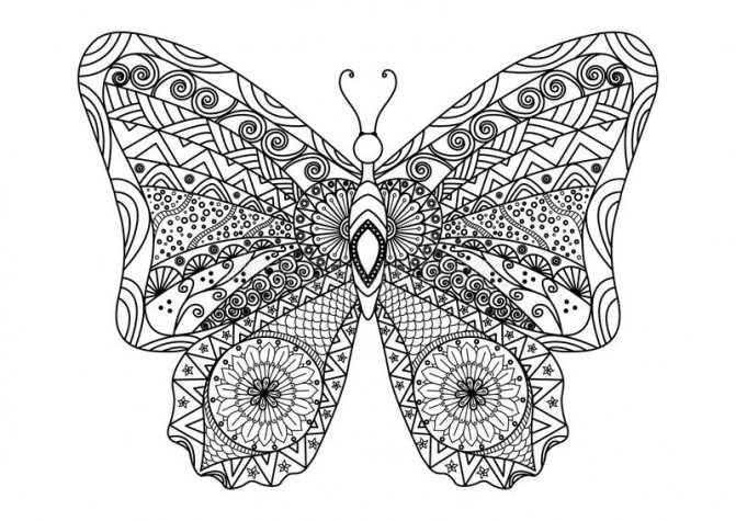 Papillon