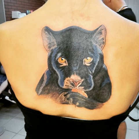 Grand tatouage d'animal sur le dos d'une fille