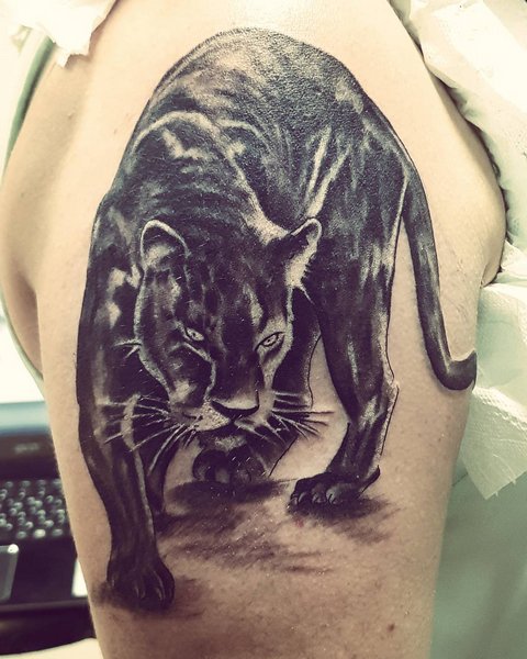Gros tatouage d'animal