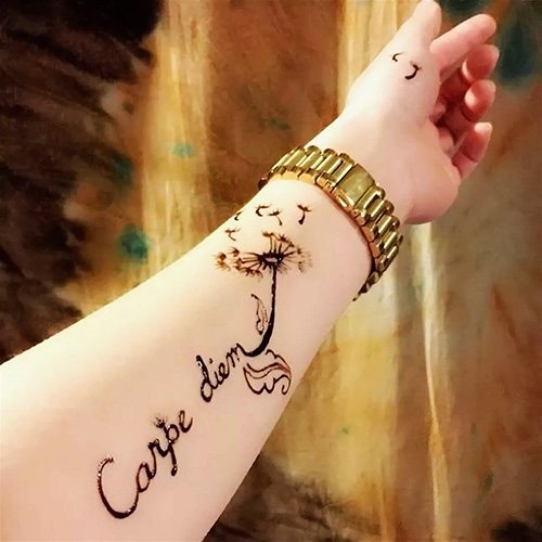 Tatouage Carpe diem Memento Mori en latin. Photo, signification