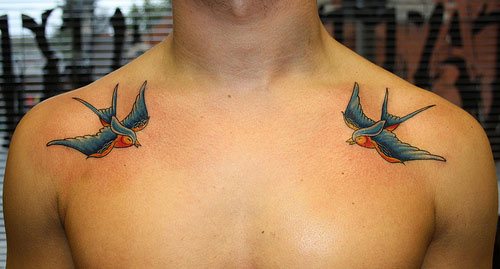 Les oiseaux Oldsoul sont le plus souvent empaillés sur leurs clavicules.