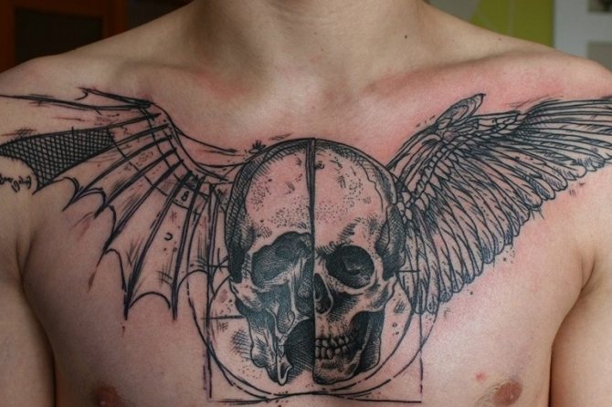 Crâne et ailes