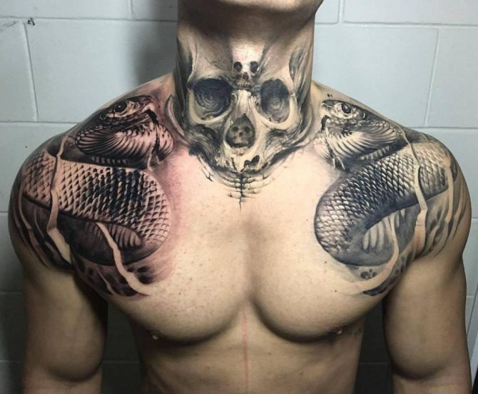 tête de serpent