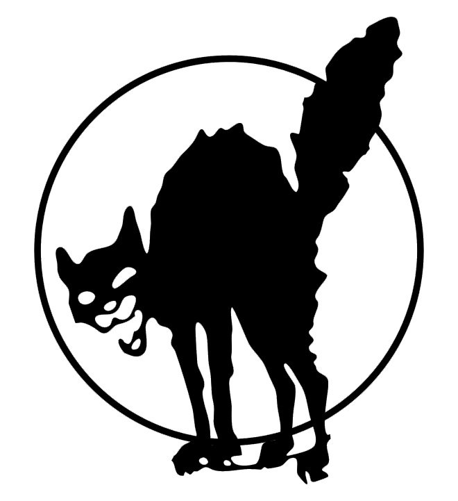 Chat noir