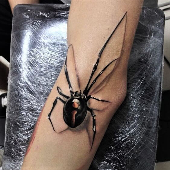 Veuve noire à portée de main