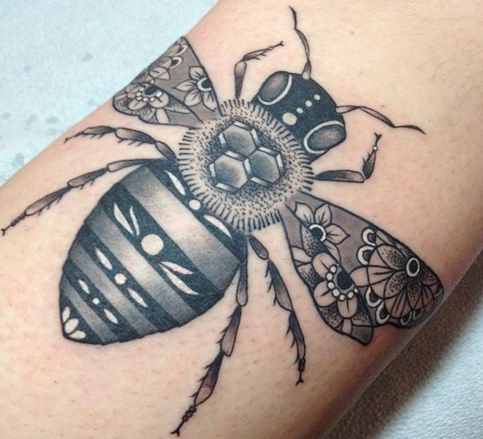 insecte noir