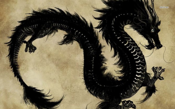 Dragon noir