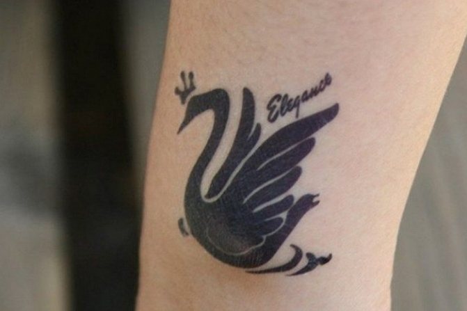 Le cygne noir