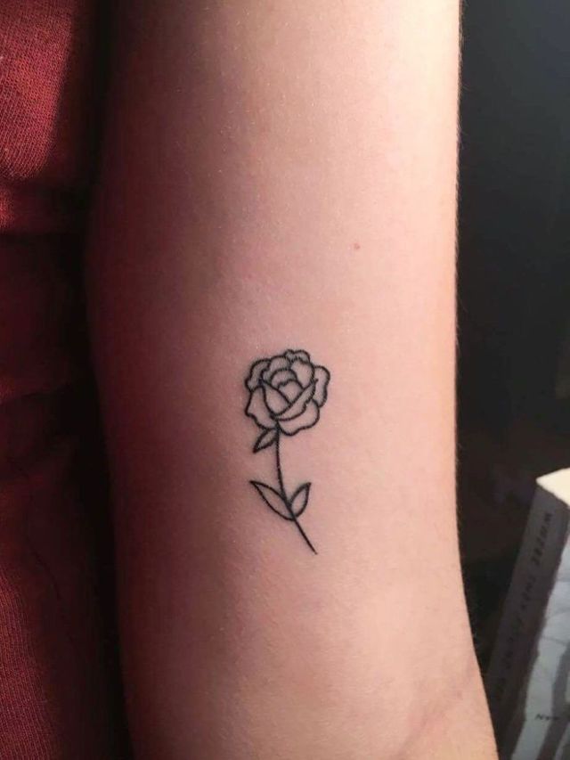 Que pouvez-vous dessiner sur le stylo