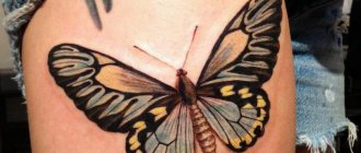 Que signifie un tatouage de papillon pour une fille ?