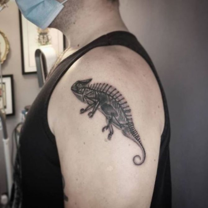 Que signifie le lézard comme symbole