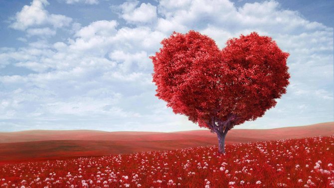 que symbolise l'amour