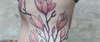 Blossom