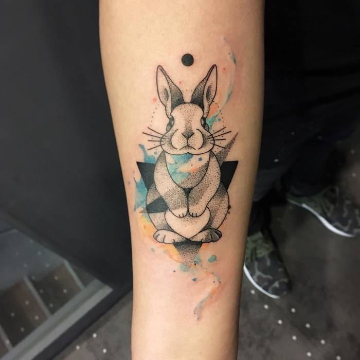 lapin de couleur