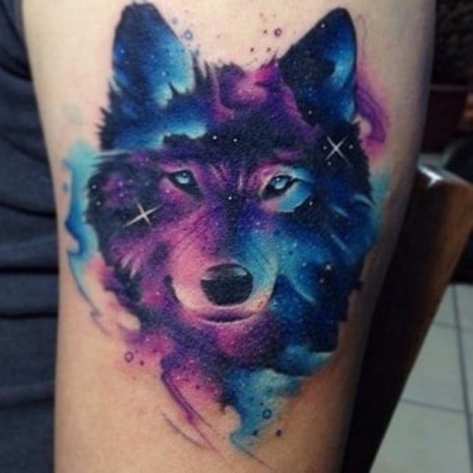 Loup coloré