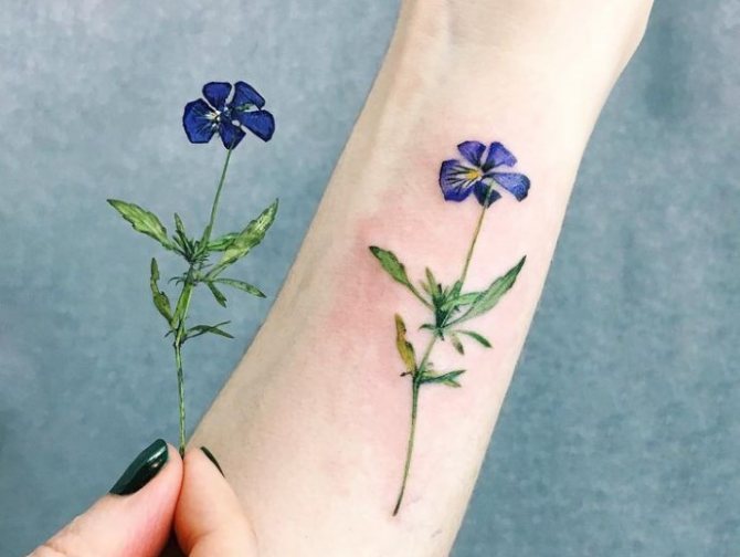 fleur et tatouage