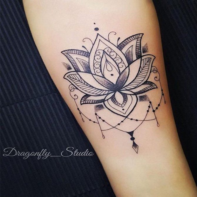 fleur de lotus sur la main belle