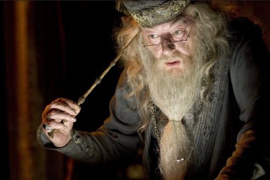 Dumbledore - Les Reliques de la Mort