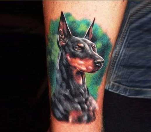 Tatouages de doberman sur le bras