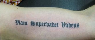La route sera tatouée en latin. Photo, valeur