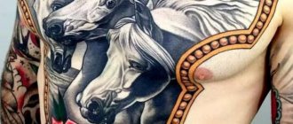 Armure de tatouage