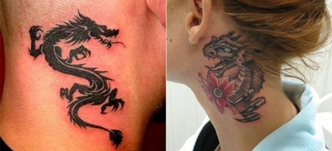 Dragon