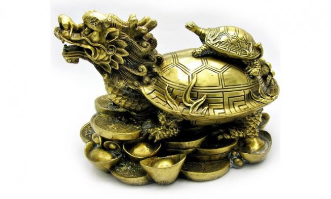 Tortue Dragon