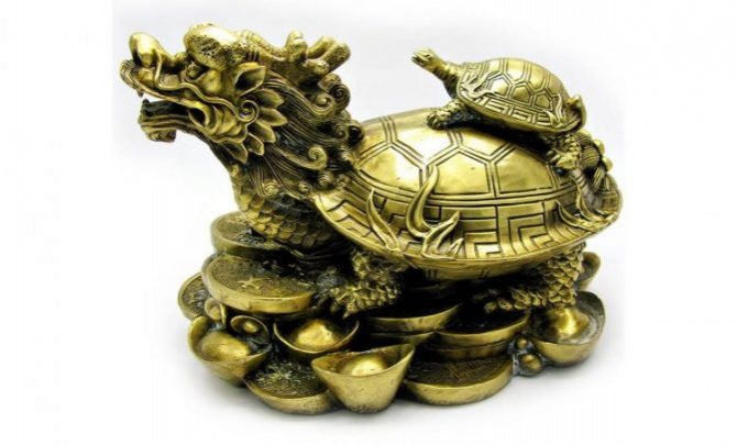 Tortue Dragon