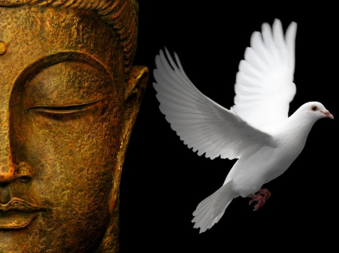 Bouddhisme zen - Philosophie et art de vivre