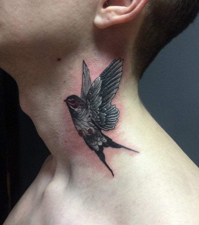 Tatouage Colibri Exotique (Emplacements du corps)