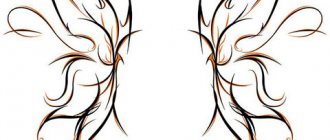 Croquis pour un tatouage d'ailes sur le dos pour filles
