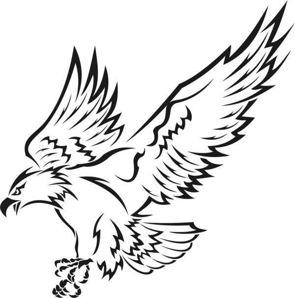 Croquis d'un tatouage d'aigle volant