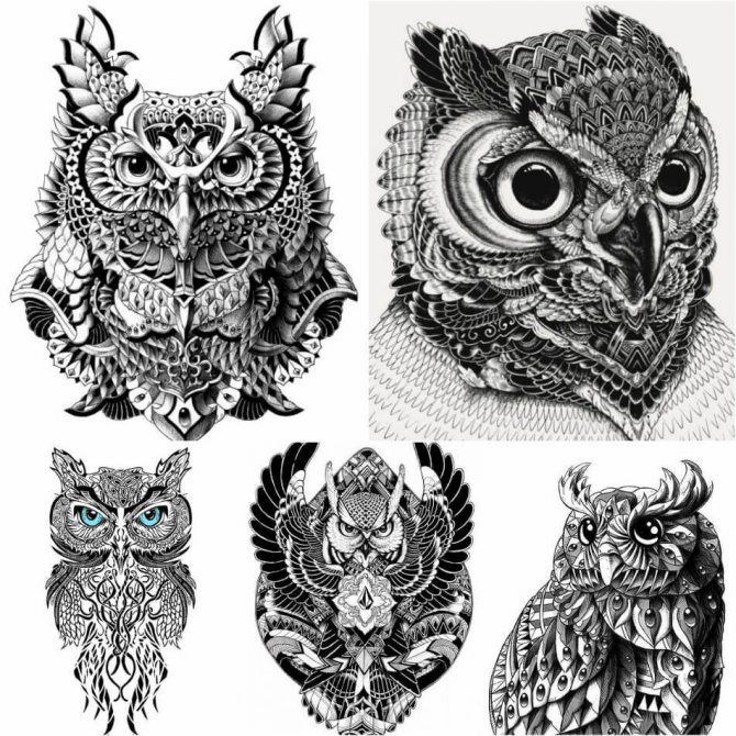 Croquis d'un grand tatouage de hibou