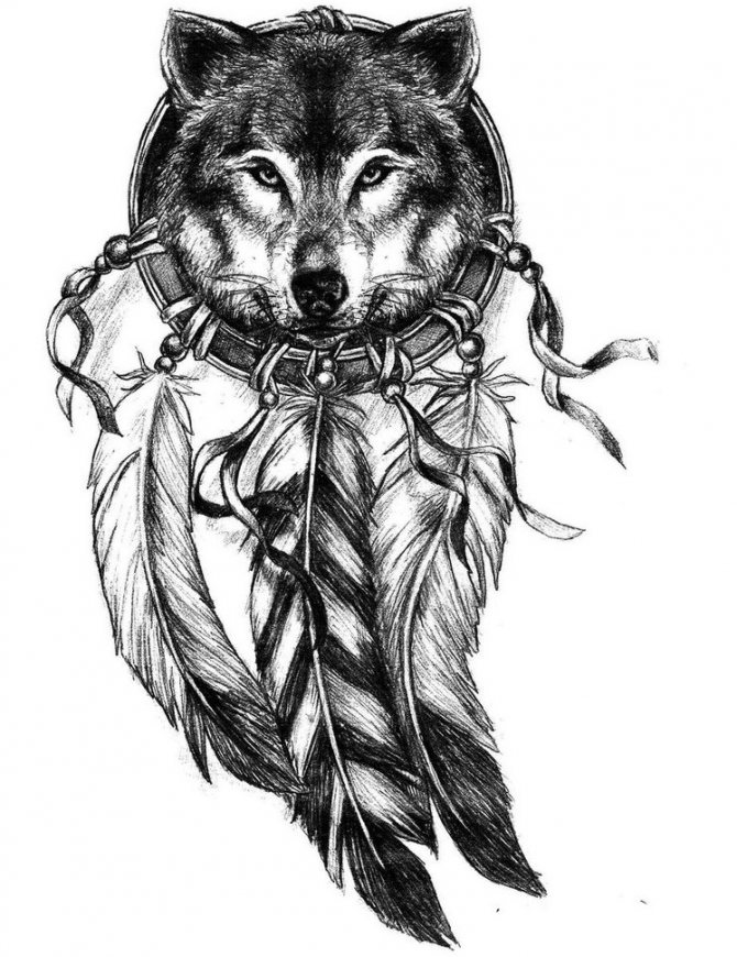 Esquisse d'un tatouage masculin sous la forme d'un loup dans une amulette en forme de capteur de rêves.