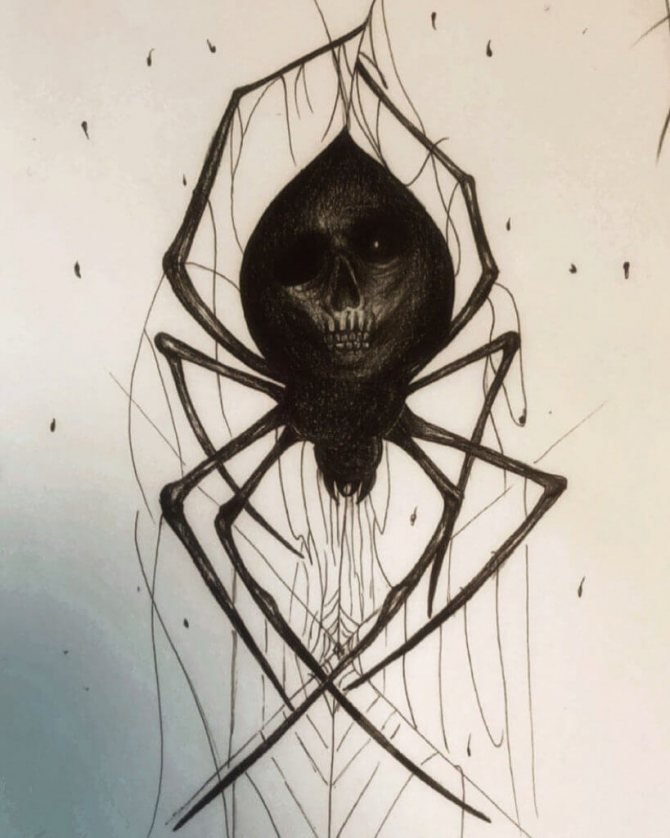 Croquis d'une araignée