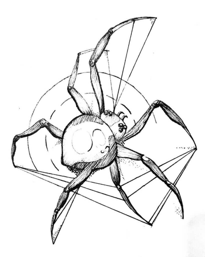 Croquis d'une araignée