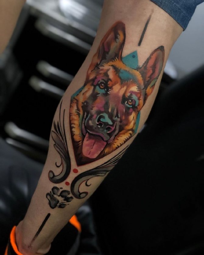 croquis d'un chien
