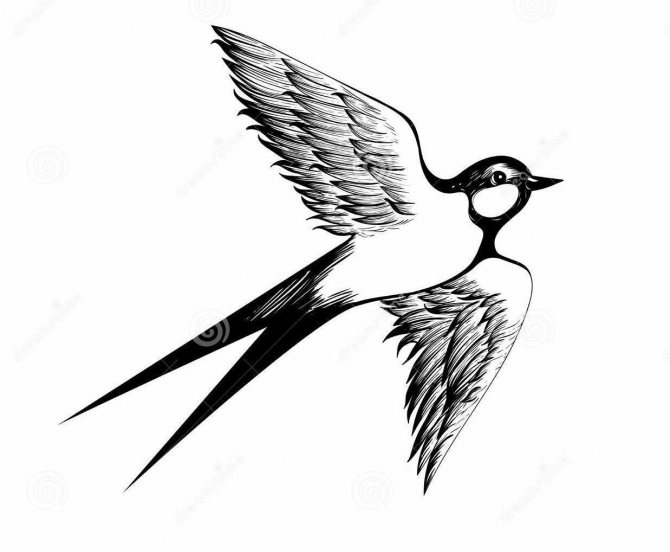 Tatouage d'une hirondelle en vol