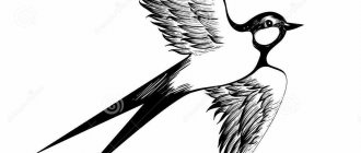 Dessin de tatouage hirondelle en vol