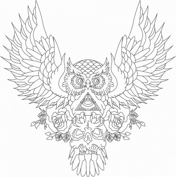 croquis de tatouage de hibou